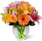 The FTD Brighten Your Day Bouquet - Peaches & Pinks from Olney's Flowers of Rome in Rome, NY